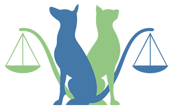 یوتانازی،مرگ آسان یا مرگ سخت ؟